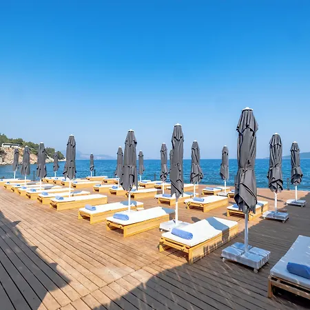 Isolina 博德鲁姆